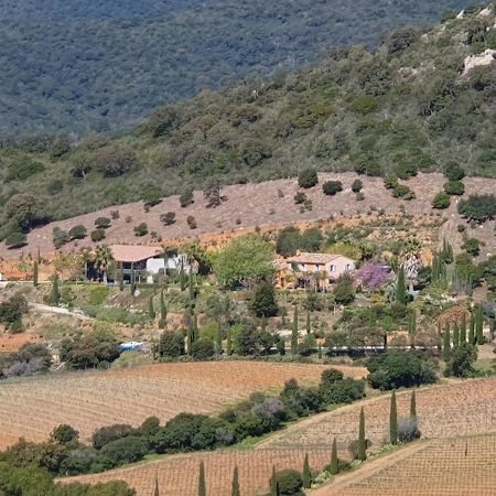 Bel Appart Style Vintage Vue Mer La Londe-les-Maures Εξωτερικό φωτογραφία