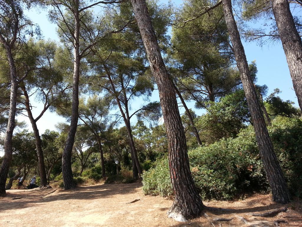 Bel Appart Style Vintage Vue Mer La Londe-les-Maures Δωμάτιο φωτογραφία